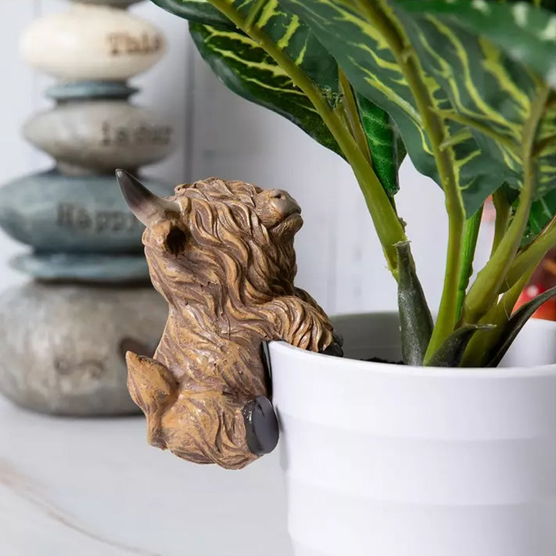 Decoratie met Schotse hooglandkoe