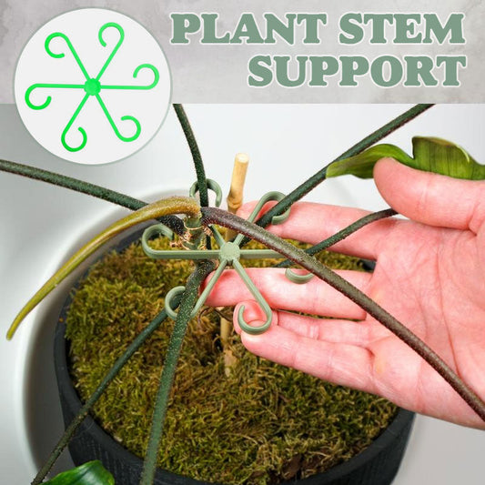 Plant Stem Support （4pcs)