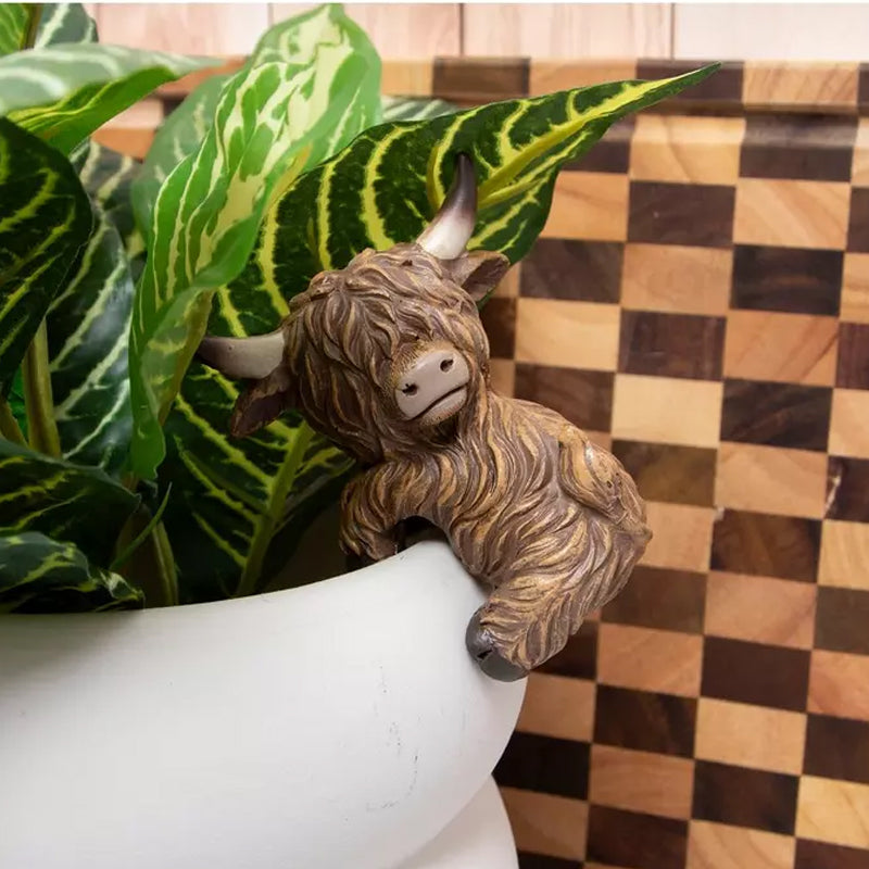 Decoratie met Schotse hooglandkoe
