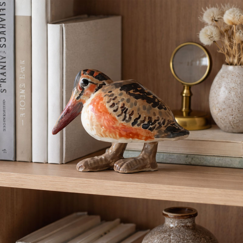 Inspired by the American Woodcock’s Sky Dance — A North American Nature Story