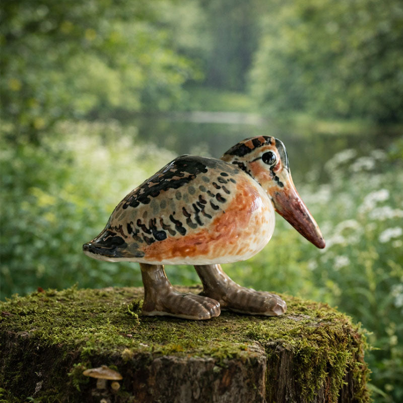 Inspired by the American Woodcock’s Sky Dance — A North American Nature Story