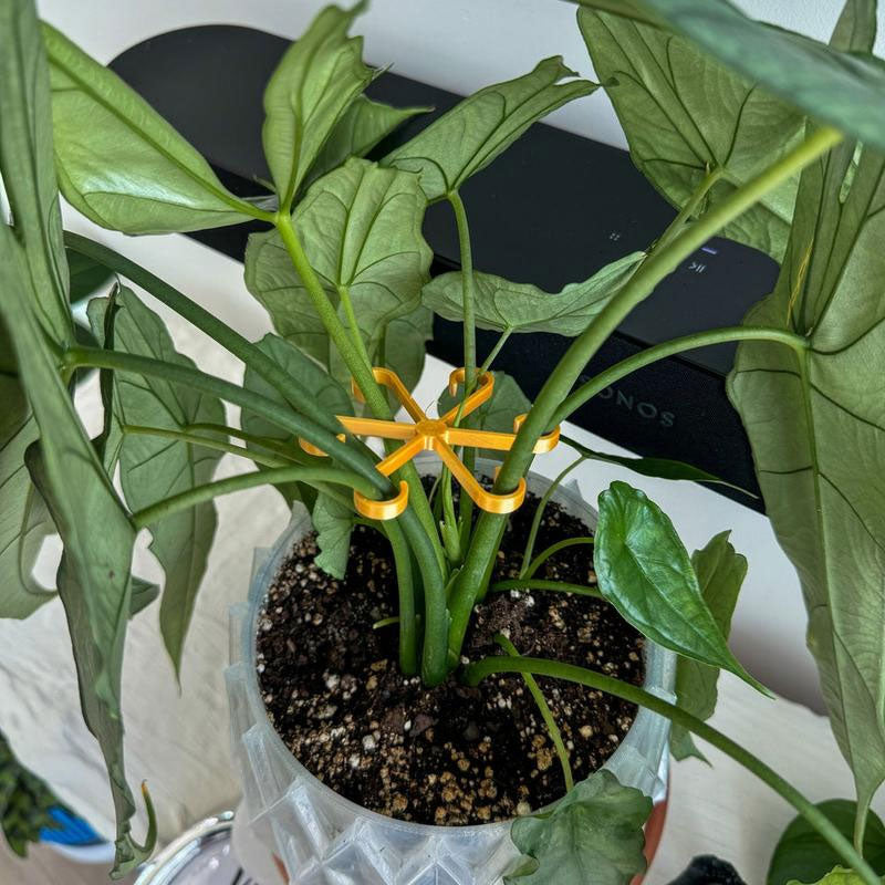 Plant Stem Support （4pcs)