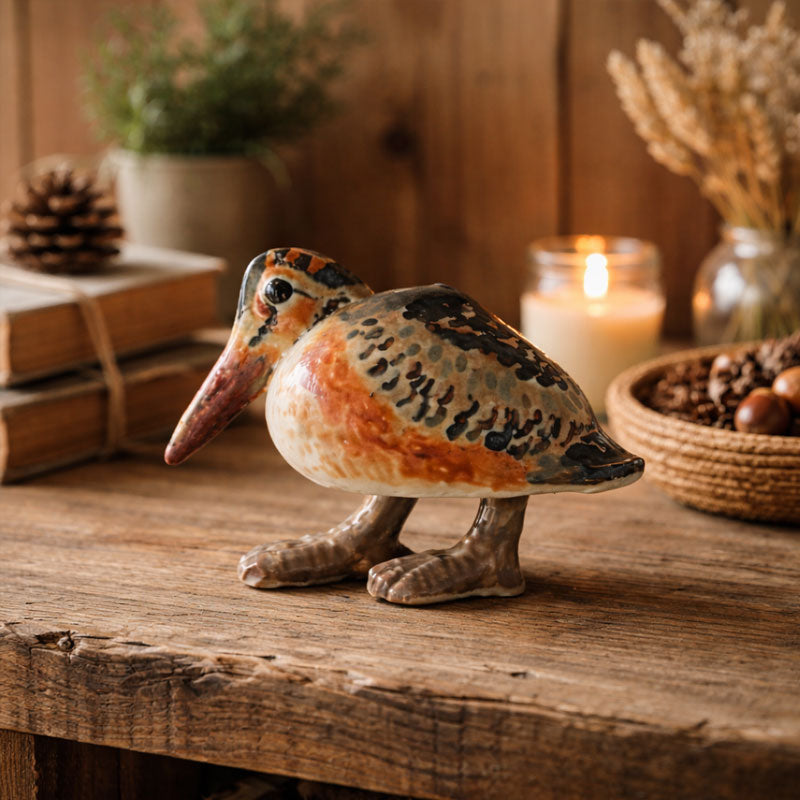 Inspired by the American Woodcock’s Sky Dance — A North American Nature Story