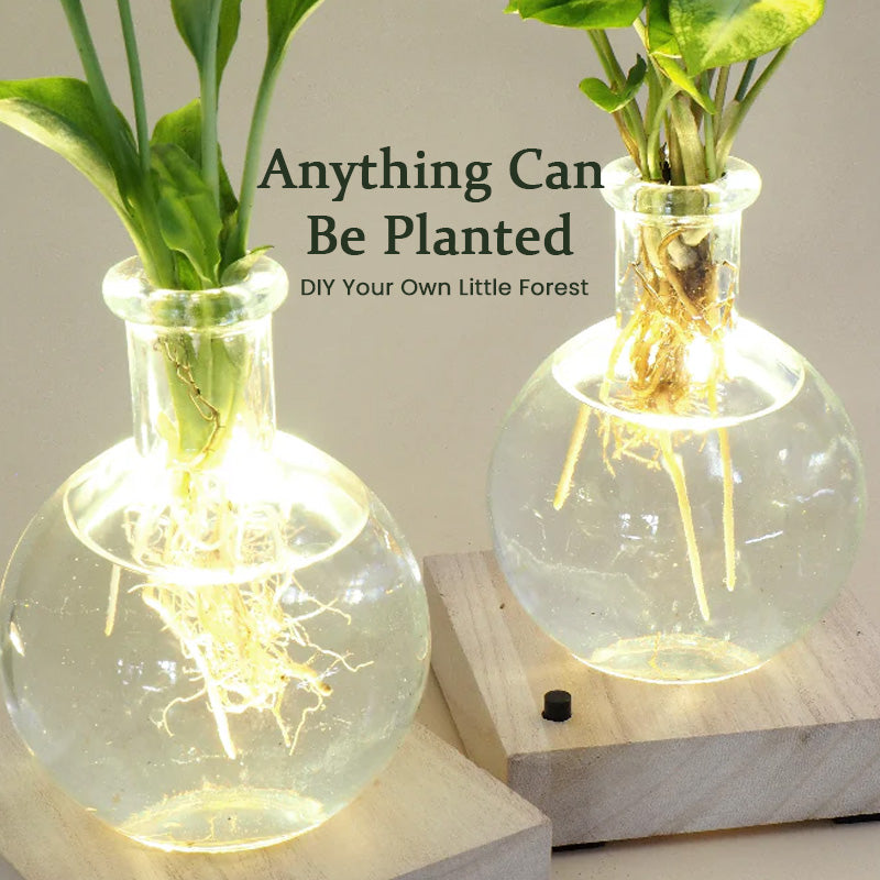 LED Hydroponic Plant Vase（The set includes 1 LED base + 1 vase）